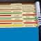 Find It Trading Tab View Assorted Colors Letter Hanging File Folder, 20ct.